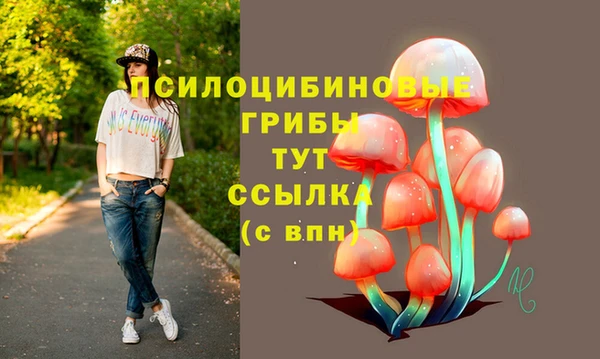 эйфоретик Медвежьегорск