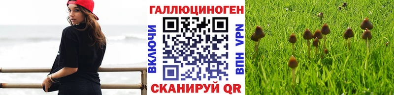 Галлюциногенные грибы мухоморы  Приморск 