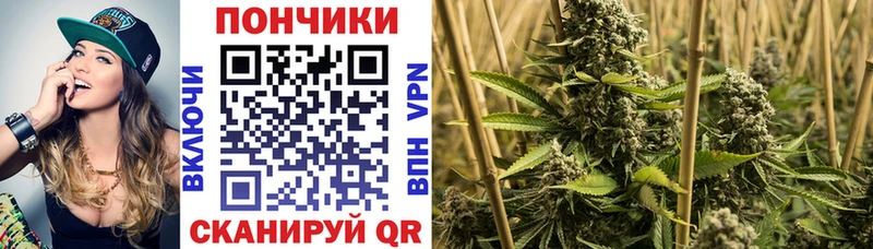 blacksprut как зайти  Приморск  darknet как зайти  Бошки Шишки семена 